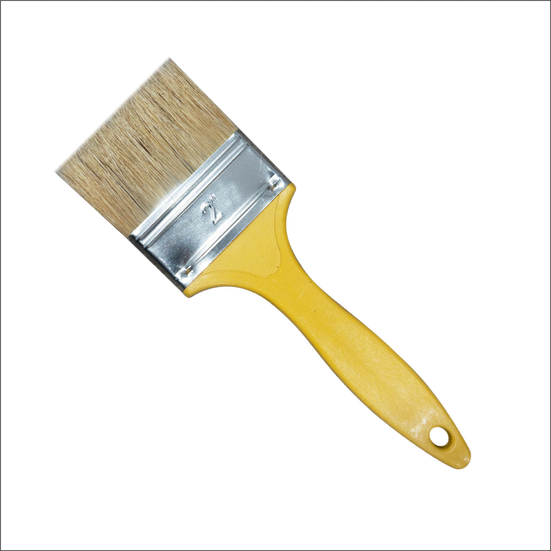 CỌ NHỰA THĂNG LONG VÀNG 2 ’’
